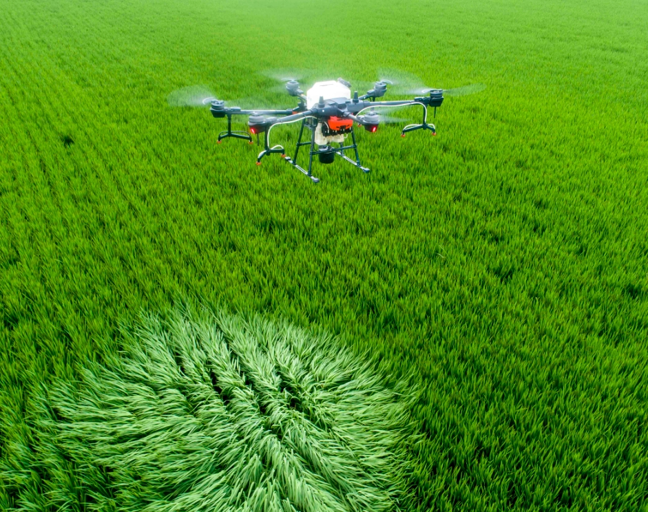 In - depth Analysis of the Competitive Landscape and Market Trends of Chinese Agricultural Plant Protection UAV Manufacturers in 2025