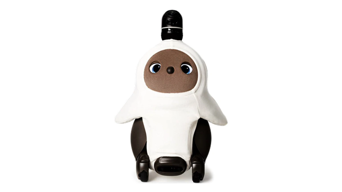 Front view of the LOVOT companion robot