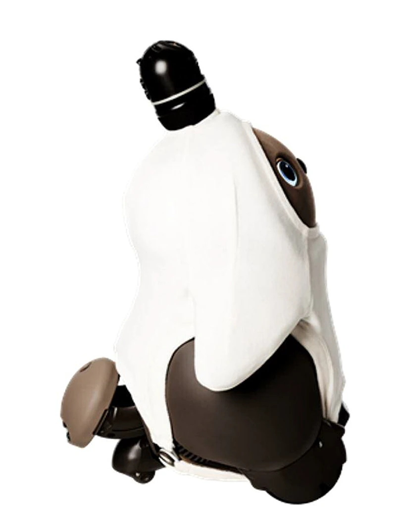 Side view of the LOVOT companion robot